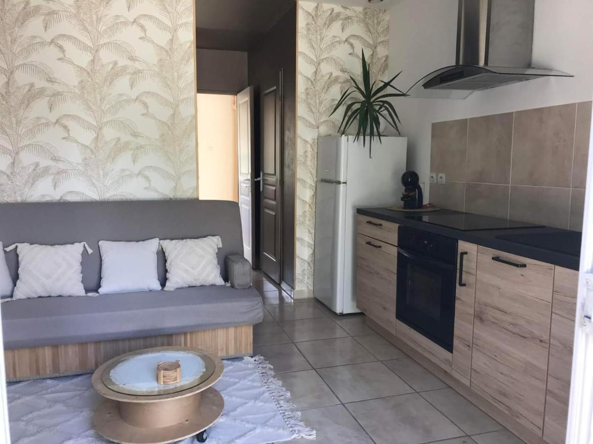 Appartement T1 Plain Pied Le Cannet-des-Maures Zewnętrze zdjęcie